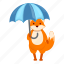 fox, rain, umbrella, cute 