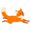 running, fox, wild, orange 