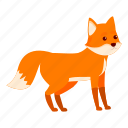kid, fox, nature, tail