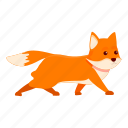 walking, fox, animal