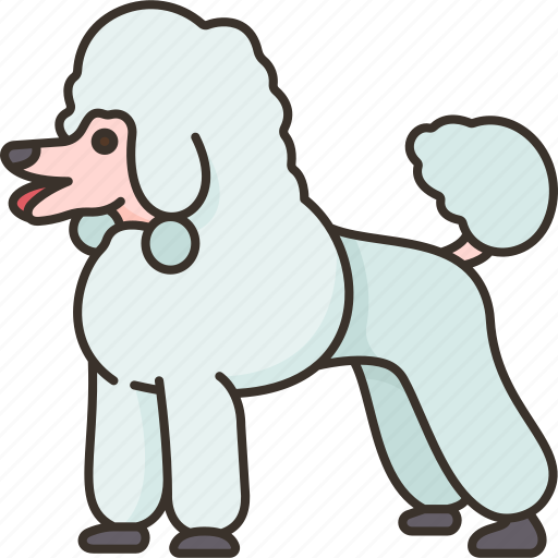 Dog, poodle, pet, pedigreed, canine icon - Download on Iconfinder