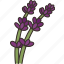 lavender, blossom, flower, fragrant, aromatic 
