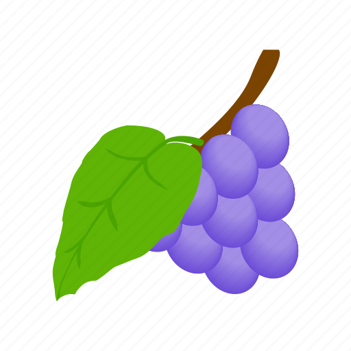 Berry, fruit, grape, healthy, isometric, ripe, vine icon - Download on Iconfinder