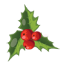 christmas, mistletoe