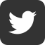 twitter, bird, social media, message 