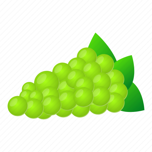 Food, fruit, grapes, summer, green icon - Download on Iconfinder