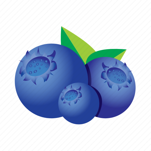 Blueberry, food, fruit, healthy, meal icon - Download on Iconfinder
