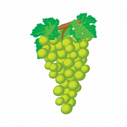 Grapa, white, ffruit, food, grapes, sweet icon - Download on Iconfinder