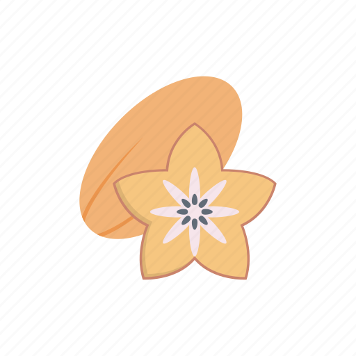 Star, food, eat, fruit, carambola icon - Download on Iconfinder