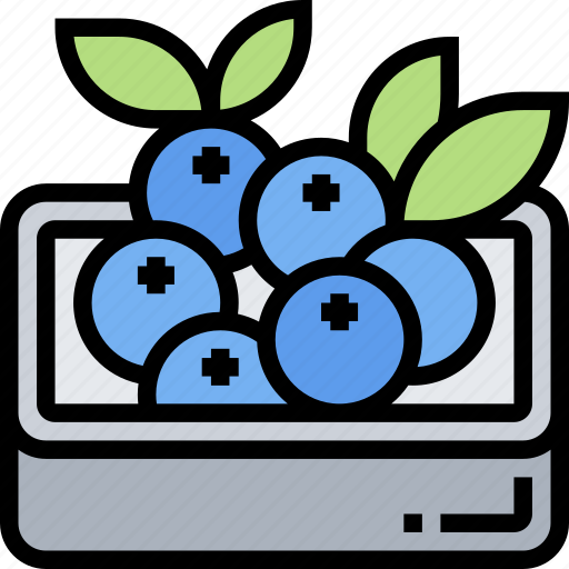 Blueberry, berry, dessert, ingredient, nutrition icon - Download on Iconfinder