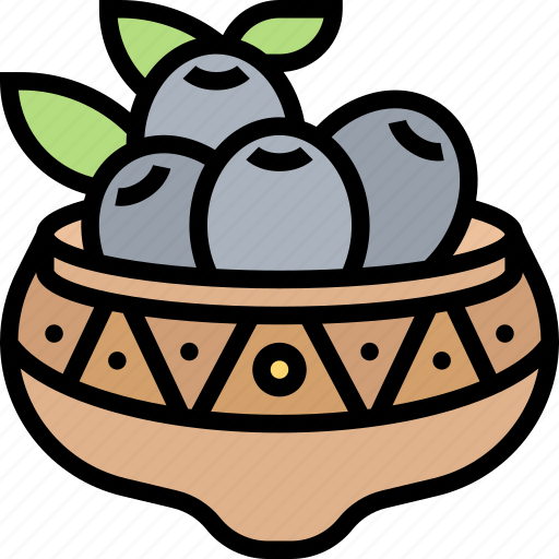 Jambul, fruits, juicy, vitamins, tropical icon - Download on Iconfinder