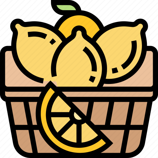 Lemon, lime, citrus, sour, diet icon - Download on Iconfinder