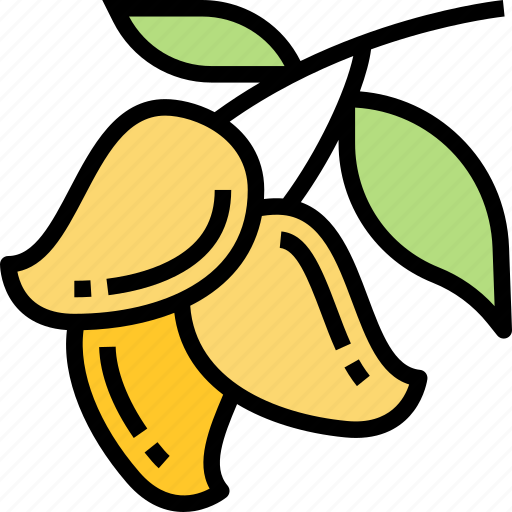 Mango, fruit, sweet, food, fresh icon - Download on Iconfinder