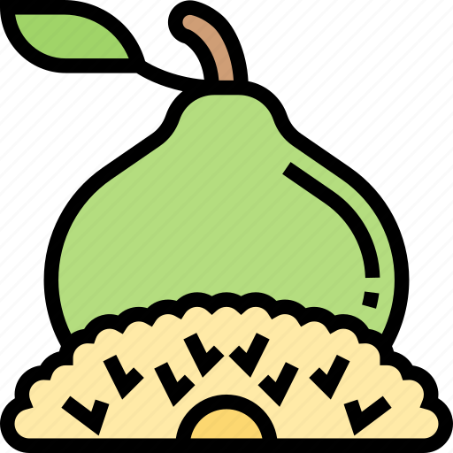 Pomelo, citrus, juicy, vitamin, tropical icon - Download on Iconfinder