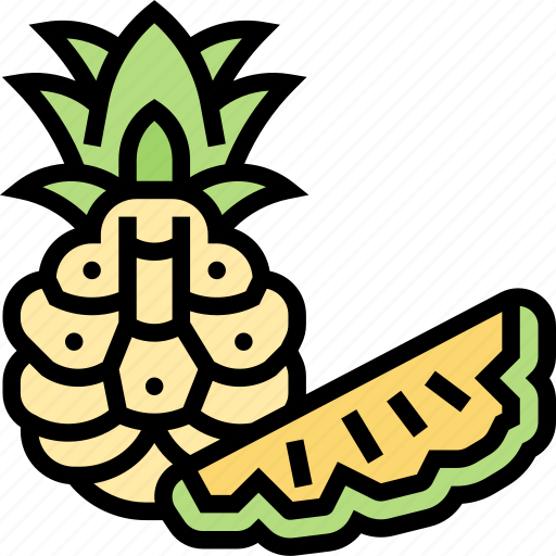 Pineapple, dessert, fresh, juice, tropical icon - Download on Iconfinder
