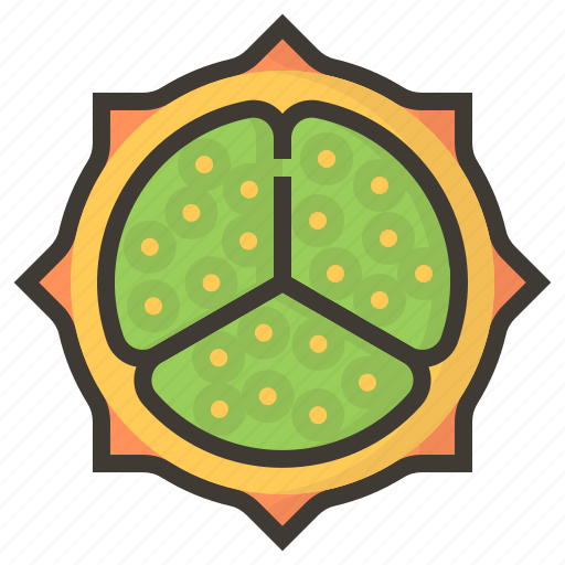Diet, fig, fruits, health, tropical icon - Download on Iconfinder