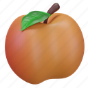 apricot, fruit 