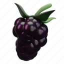 blackberry, fruit 