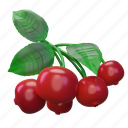 cranberry, fruit 