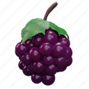 grape, fruit 