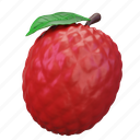lychee, fruit 
