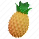 pinapple, fruit 