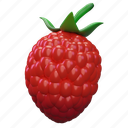 raspberry, fruit 