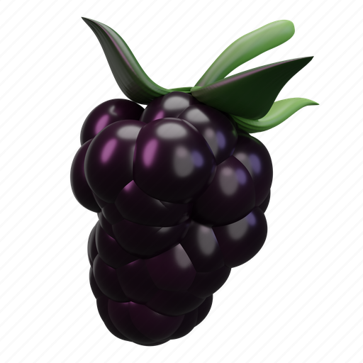 Blackberry, fruit 3D illustration - Download on Iconfinder