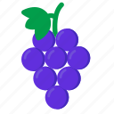 grape, food, berry, grapes, fresh, fruits