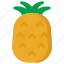 pineapple, ananas, ananas comosus 