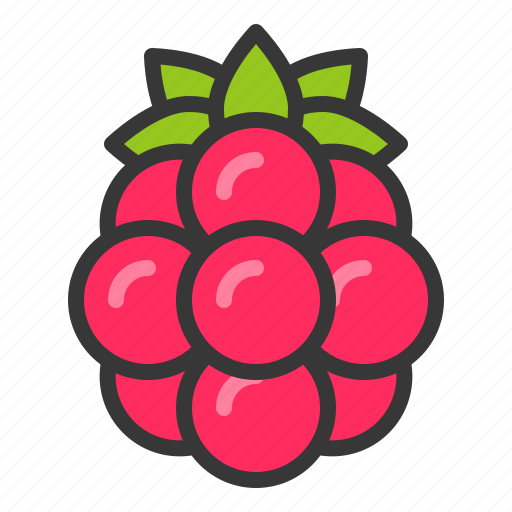 Food, fruit, healthy, raspberry, vitamin icon - Download on Iconfinder