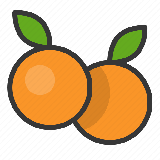 Food, fruit, healthy, orange, vitamin icon - Download on Iconfinder