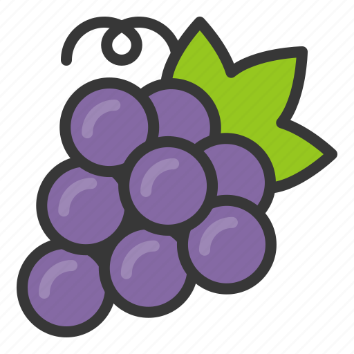 Food, fruit, grape, healthy, vitamin icon - Download on Iconfinder