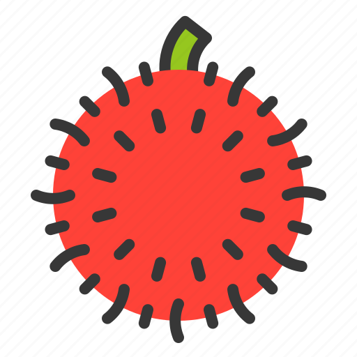 Food, fruit, healthy, rambutan, vitamin icon - Download on Iconfinder