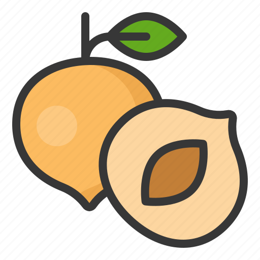 Food, fruit, healthy, nectarine, vitamin icon - Download on Iconfinder
