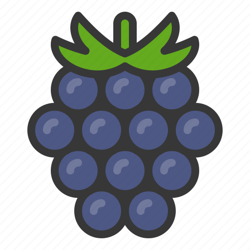 Blackberry, food, fruit, healthy, vitamin icon - Download on Iconfinder