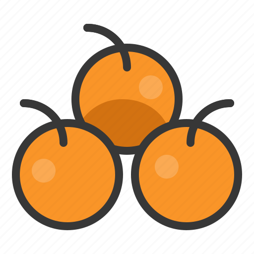 Food, fruit, healthy, oranges, tangerine, vitamin icon - Download on Iconfinder