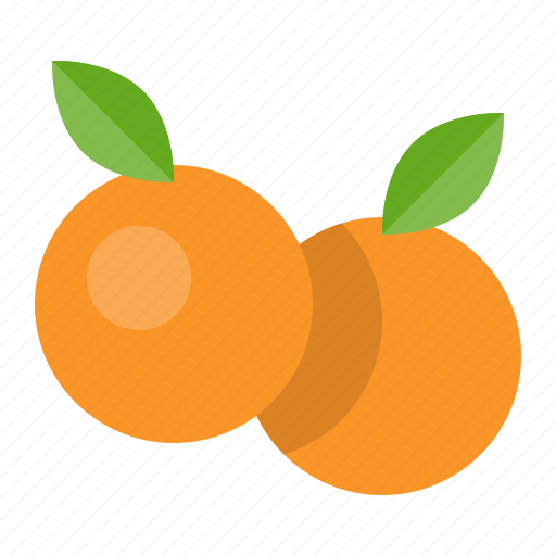 Food, fruit, healthty, orange, vitamin icon - Download on Iconfinder