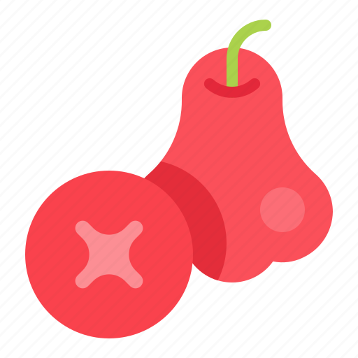 Food, fruit, healthty, rose apple, vitamin icon - Download on Iconfinder
