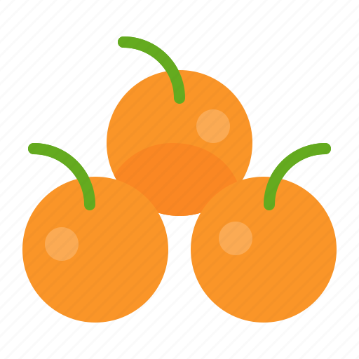 Food, fruit, healthty, orange, tangerine, vitamin icon - Download on Iconfinder