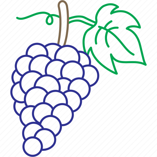 Grape, grapes, grapevine, red grape, vines, vineyard, wine icon - Download on Iconfinder