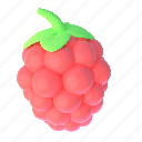 raspberry, 2, fruit, health, food 