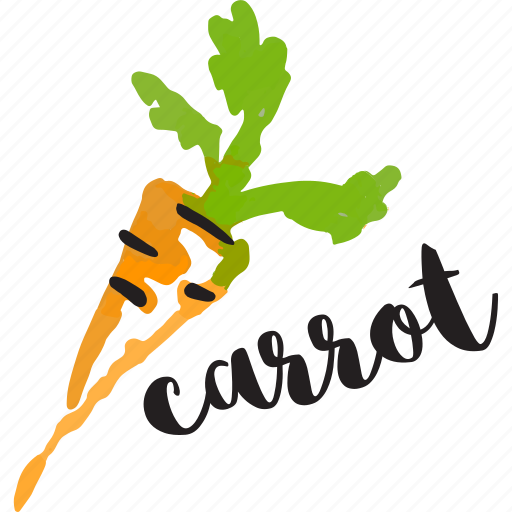 Fruit, food, restaurant, drink, organic, carrot, vegetable sticker - Download on Iconfinder