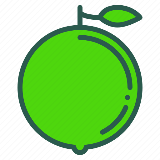 Food, fruit, healthy, lime, organic icon - Download on Iconfinder