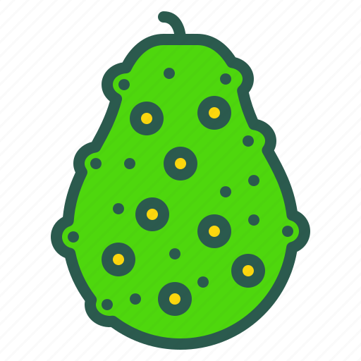 Food, fruit, healthy, noni, organic icon - Download on Iconfinder