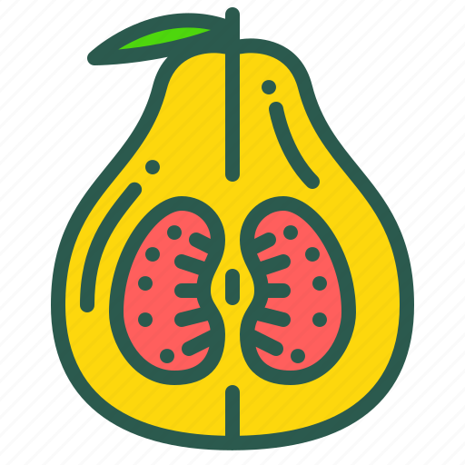 Food, fruit, healthy, organic, pamelo icon - Download on Iconfinder