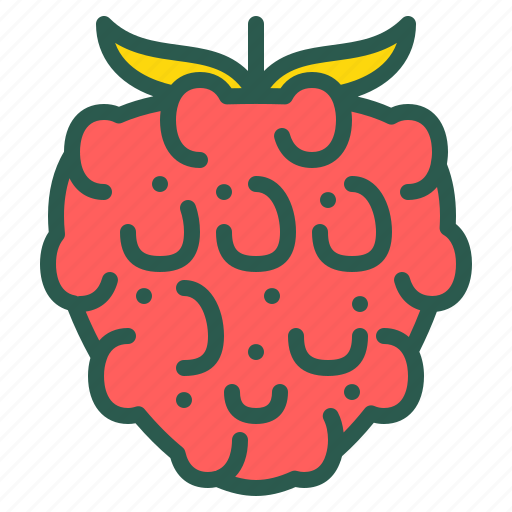 Berry, food, fruit, healthy, raspberry icon - Download on Iconfinder