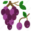 berry, bouquet, food, fruit, grapes 