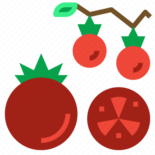 Diet, food, fruit, tomato, vegetarian icon - Download on Iconfinder