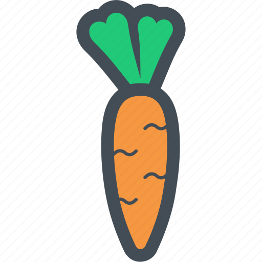 Carrot, cooking, food, seasoning, vegetable, vegetables icon - Download on Iconfinder